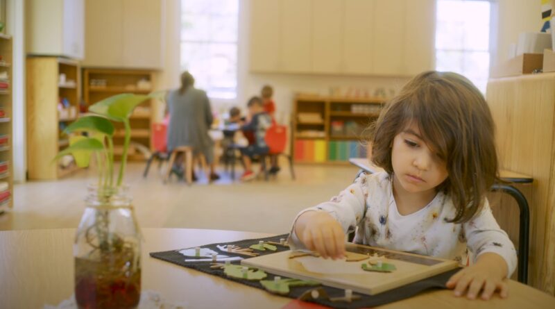 Structure of a Preschool Classroom biology